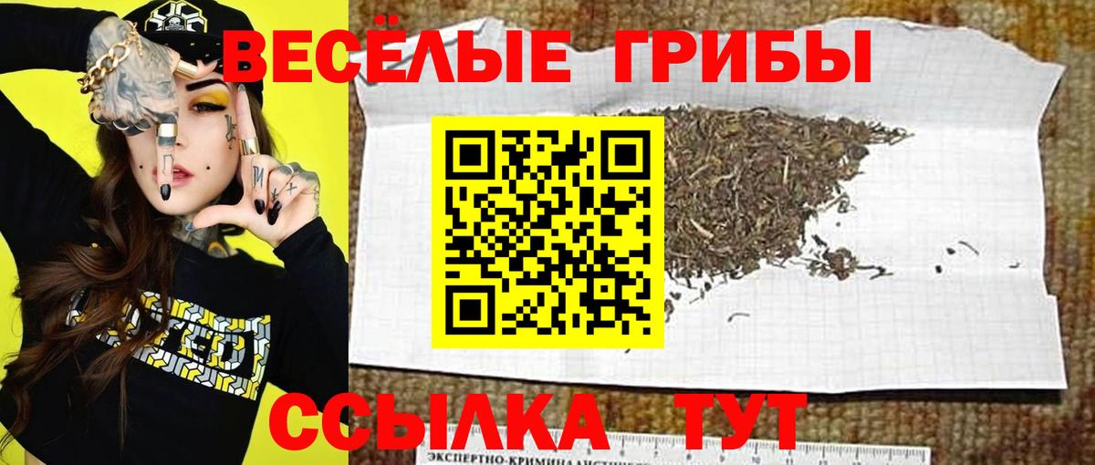 Псилоцибиновые грибы мухоморы Рославль